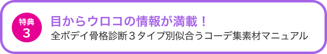 特典３目からウロコの情報が満載！全ボディ骨格診断３タイプ別似合うコーデ集素材マニュアル